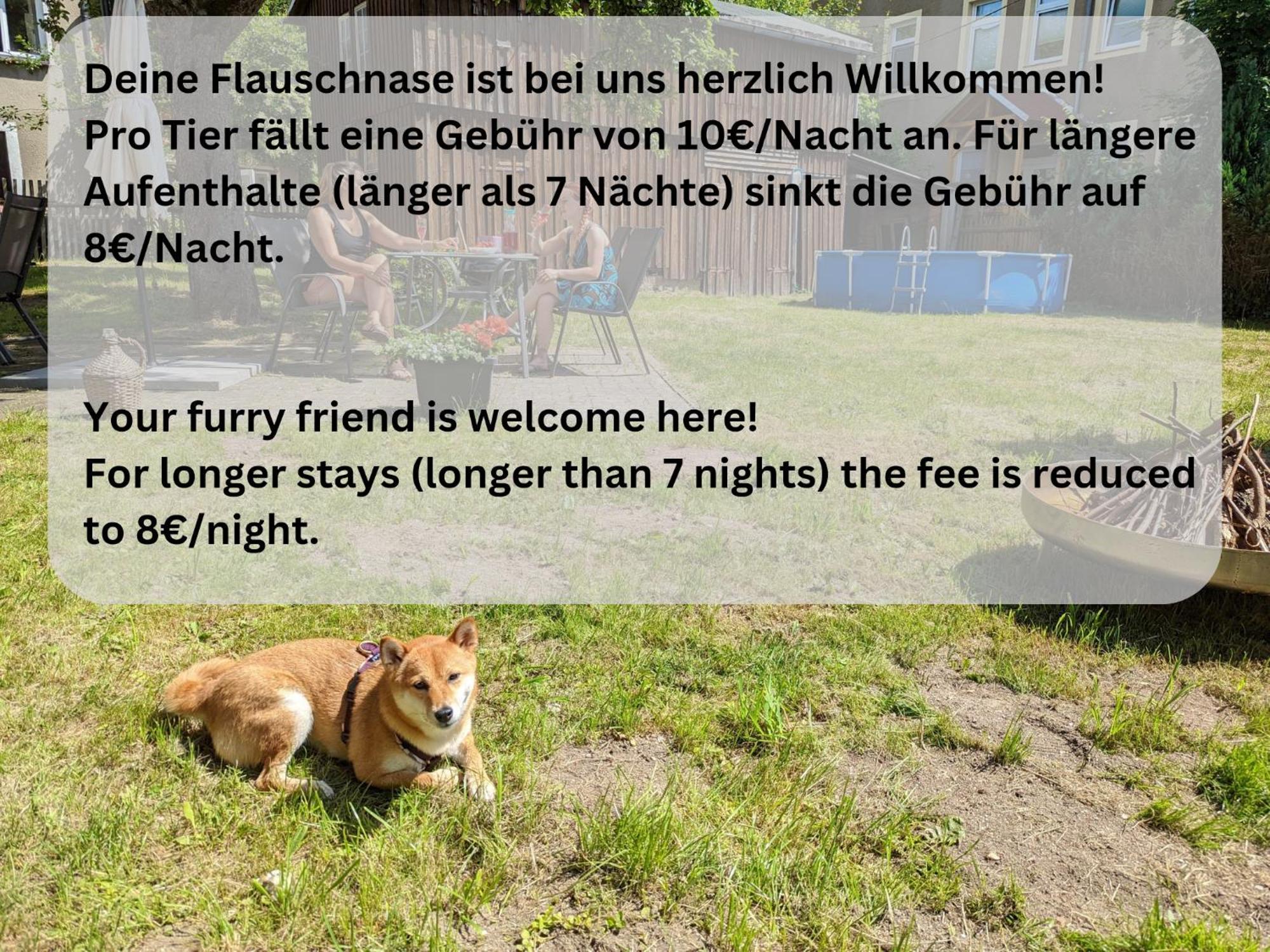 H1 - Urlaubsmagie - Pool & Terrasse Zum Entspannen เซบนิทซ์ ภายนอก รูปภาพ